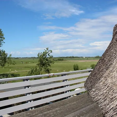 Urlaubsmuehle Fortuna St. Peter-ording Borsthusen